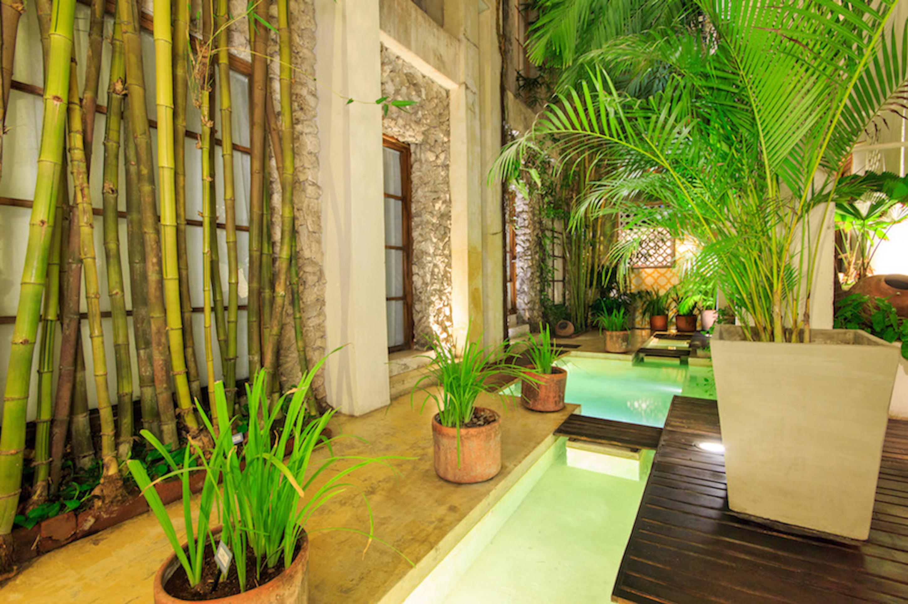 Casa Lola Deluxe Gallery