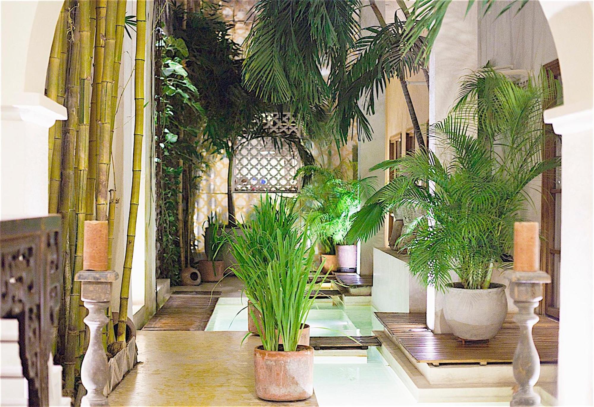 Casa Lola Deluxe Gallery Hotel Cartagena