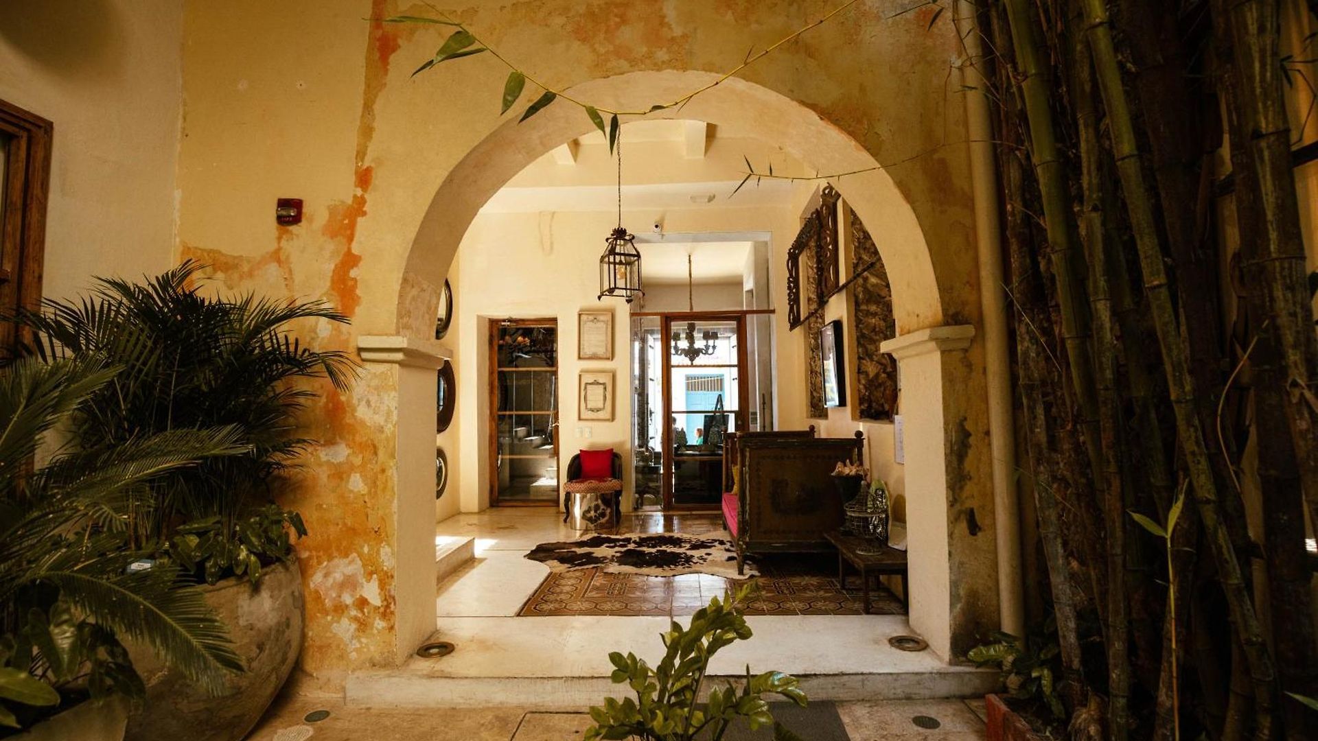 Hotel Casa Lola Deluxe Gallery Cartagena