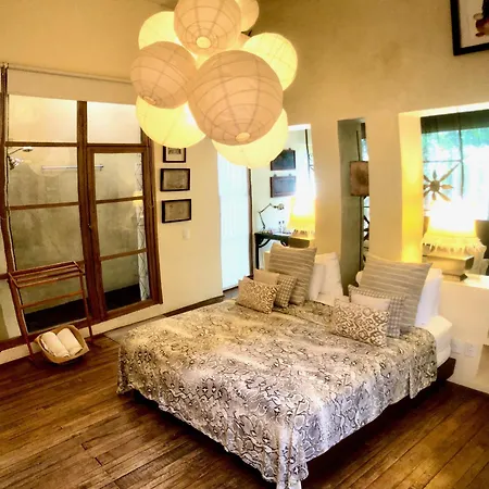 Casa Lola Deluxe Gallery Hotel