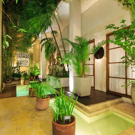 Hotel Casa Lola Deluxe Gallery