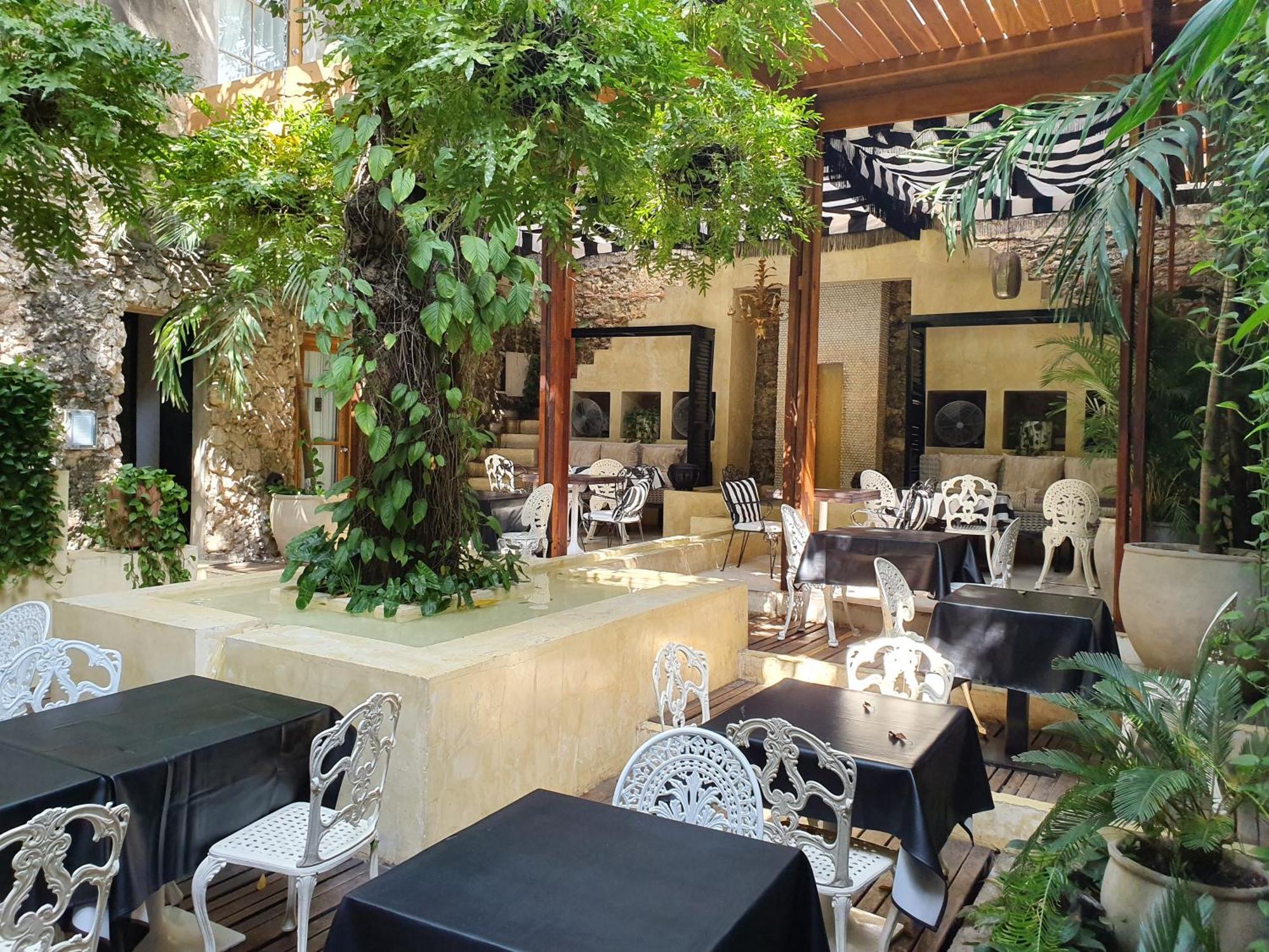 Hotel Casa Lola Deluxe Gallery Cartagena