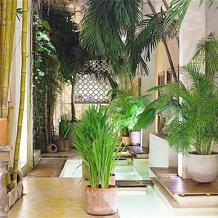 Casa Lola Deluxe Gallery Hotel Cartagena