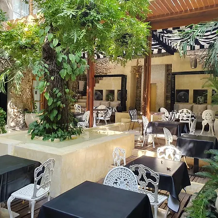 Hotel Casa Lola Deluxe Gallery Cartagena